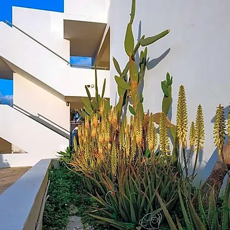 Pandream Paphos