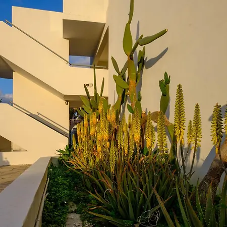 潘德里姆酒店式公寓 Paphos